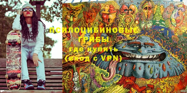 крисы Ростов