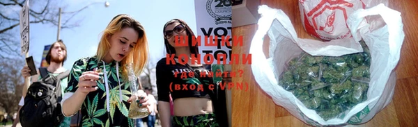 крисы Ростов